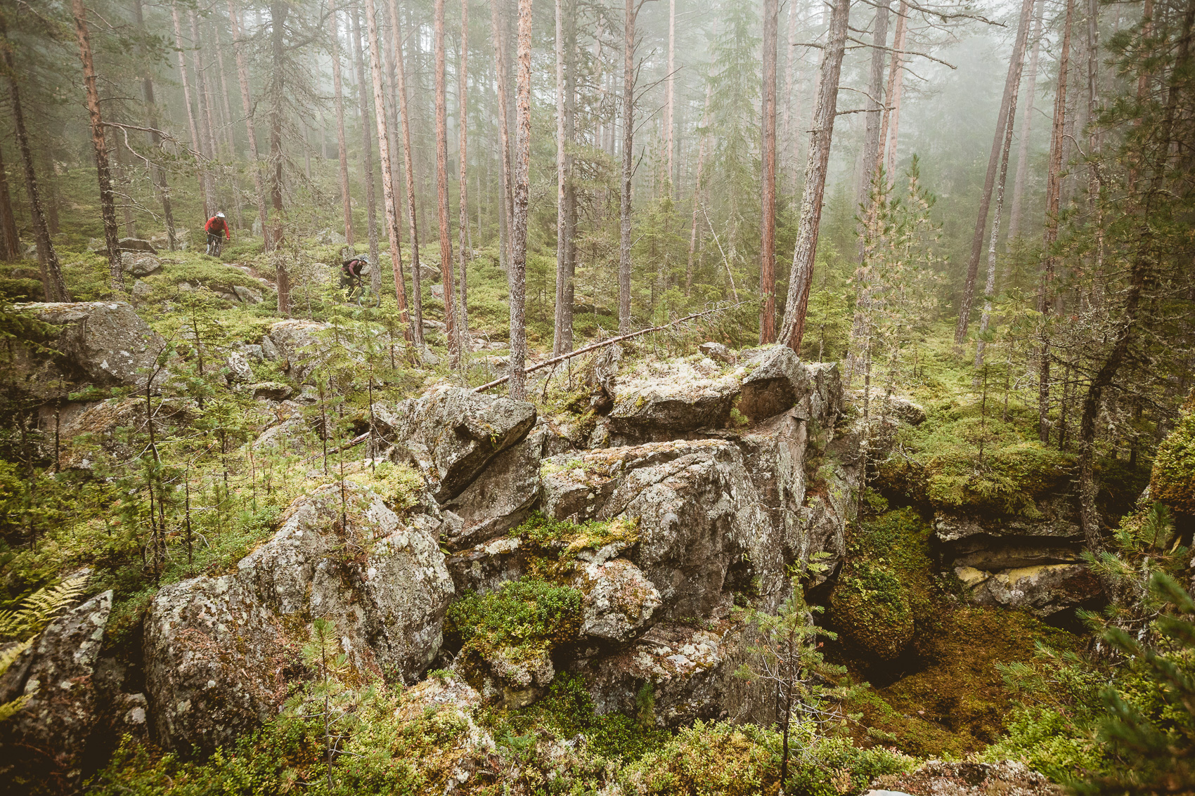 Zwei Mountainbiker fahren auf einem felsigen, moosbewachsenen Pfad durch einen nebligen Wald, typisch für anspruchsvolle Trails beim Mountainbiken. Sie navigieren durch die dichte Vegetation und die steinige Landschaft.