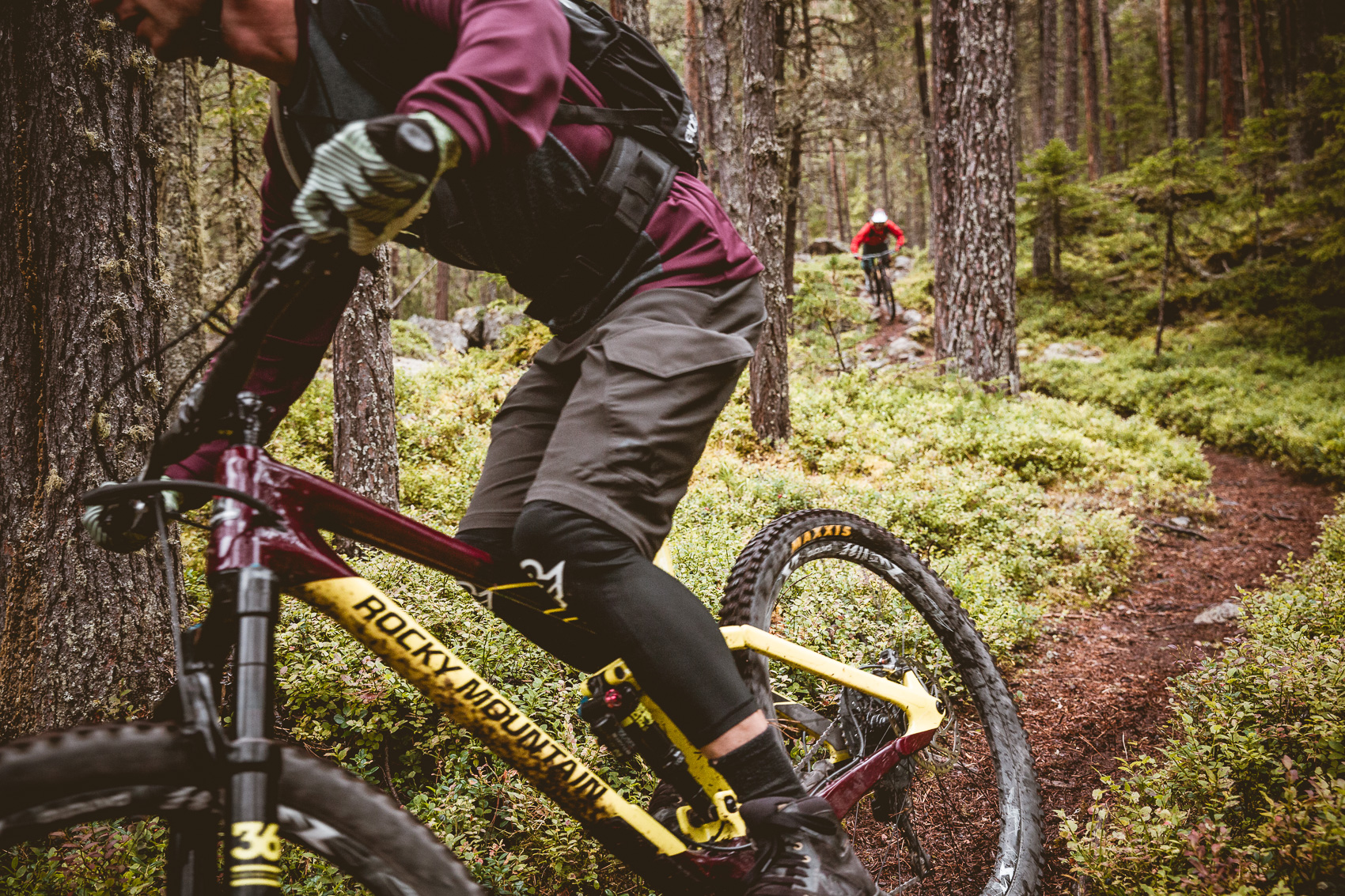 Ein Mountainbiker auf einem Rocky Mountain Bike fährt auf einem schmalen Waldweg, gefolgt von einem weiteren Fahrer. Beide sind tief im Wald unterwegs und genießen das Mountainbiken in der Natur.