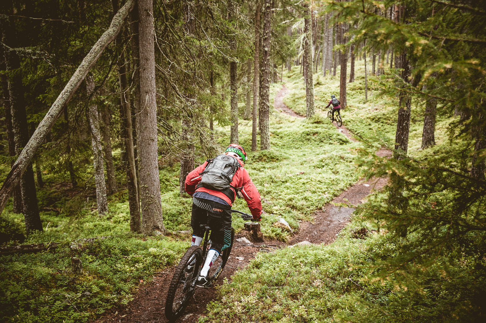 Zwei Mountainbiker fahren auf einem engen Waldweg durch ein dicht bewachsenes Nadelwaldgebiet mit viel Grün. Der vordere Fahrer, von hinten sichtbar, folgt dem Pfad, während der zweite Biker weiter oben zu sehen ist, was eine dynamische Mountainbike-Szene im Wald darstellt.