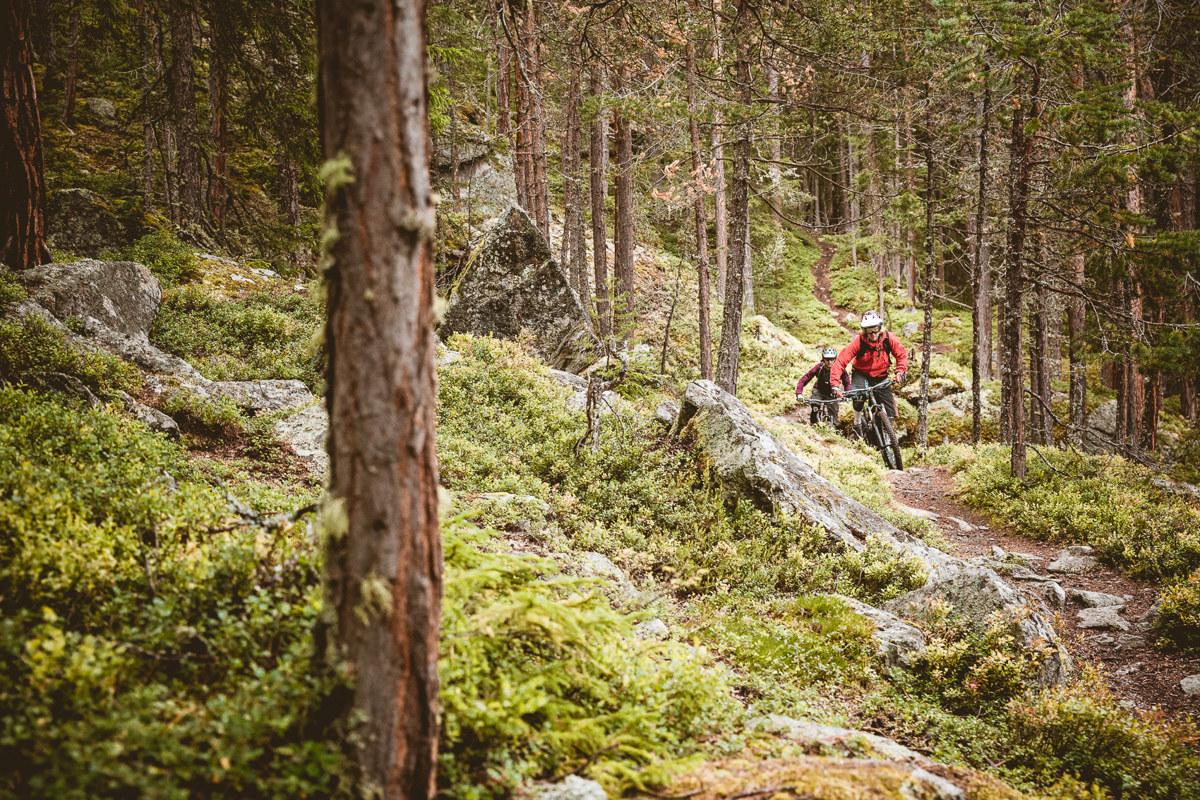 Zwei Mountainbiker fahren auf einem schmalen Pfad durch einen felsigen Nadelwald. Sie tragen Helme und sind mit ihren Mountainbikes auf dem anspruchsvollen Gelände unterwegs.