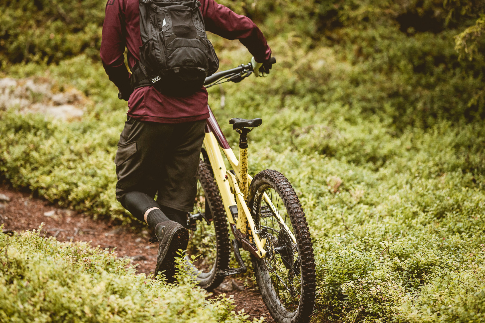 Ein Mountainbiker schiebt sein gelbes Mountainbike bergauf durch einen grünen Wald. Die Szene fängt die Anstrengung und Naturverbundenheit des Mountainbikens perfekt ein.