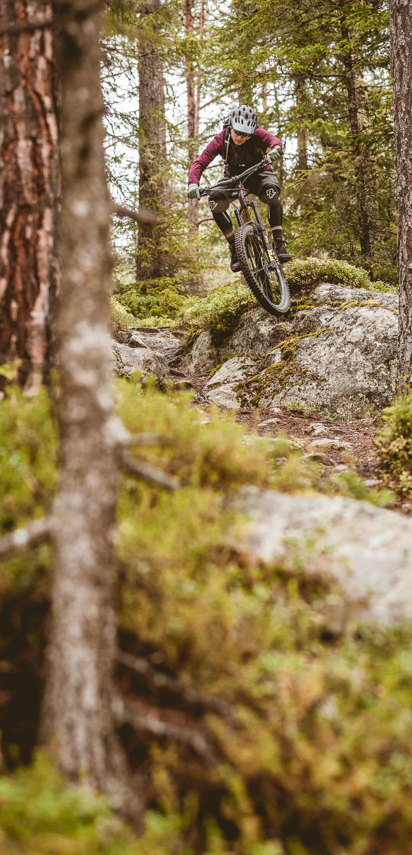 Ein Mountainbiker fährt einen felsigen Waldweg bergab, umgeben von Bäumen und Moos. Das Bild zeigt dynamisch die Herausforderung des Mountainbikens in natürlicher, unwegsamer Landschaft.