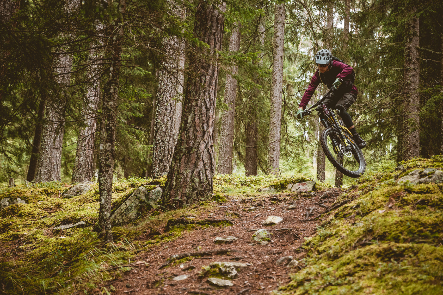 Ein Mountainbiker springt mit seinem Fully auf einem moosbewachsenen Waldweg durch einen dichten Nadelwald. Dies zeigt dynamisches Mountainbiken in alpiner Umgebung.