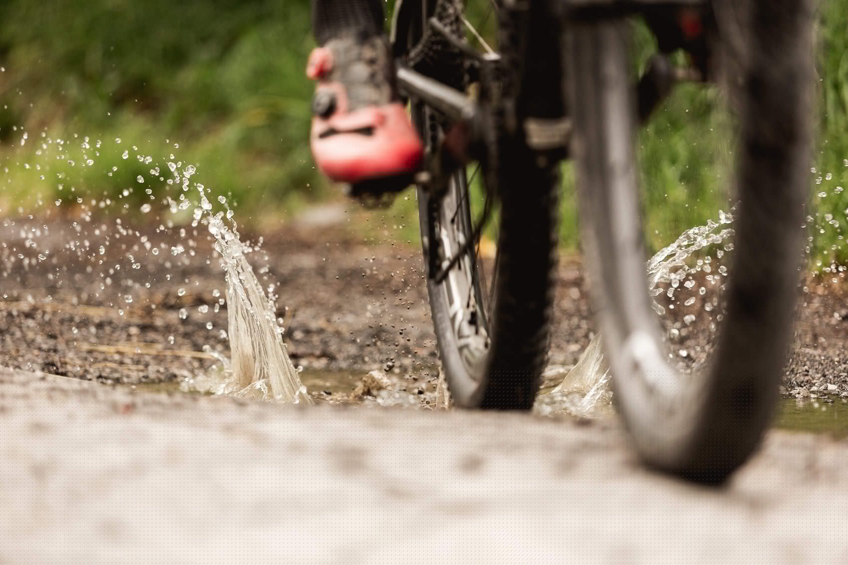 MTB Venetalm
